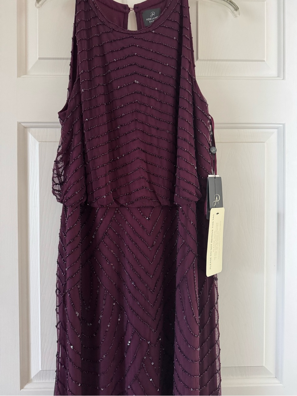 Adrianna Papell Plum Beaded Overlay Evening Dress